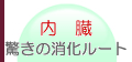 内臓　驚きの消化ルート