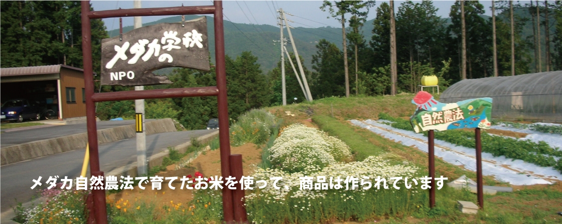 メダカの学校 入口