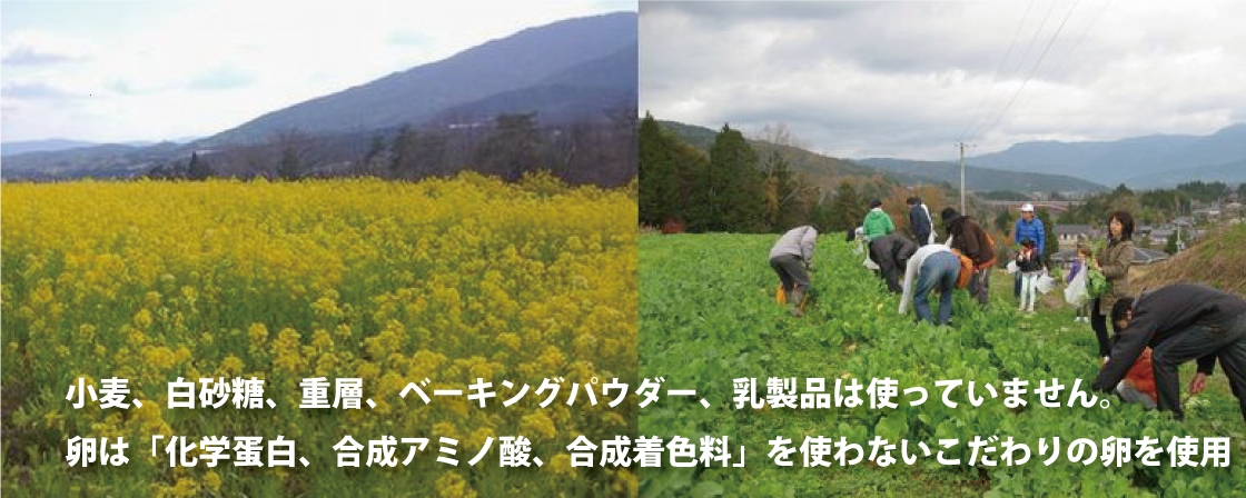 メダカの学校　道場から見た景色