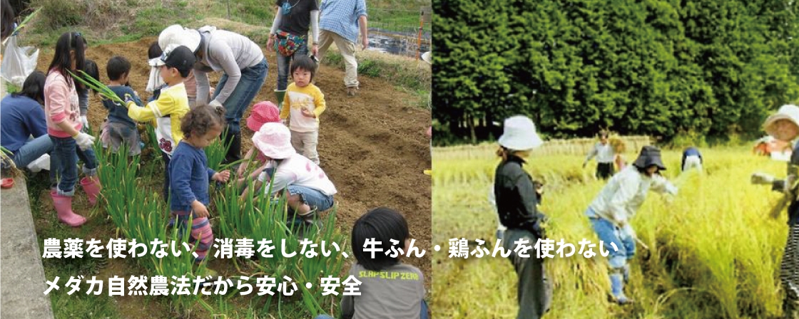 メダカの学校 農作業風景
