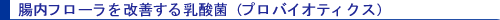 腸内フローラを改善する乳酸菌 (プロバイオティクス)