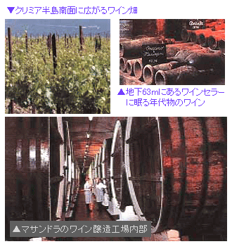 photo.gif (74295 バイト)