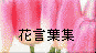cyulip.gif (2676 oCg)