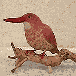 �A�J�V���E�r��