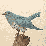 �z�g�g�M�X