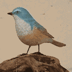 �����r�^�L