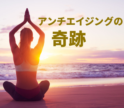 メインイメージ