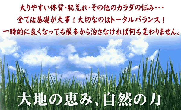 16koku-02.gif (90220 �o�C�g)