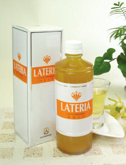 ���e���A�̂���ɏڂ�������