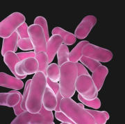 syouhin-y3.jpg (8257 �o�C�g)