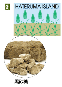 title-3.gif (17314 �o�C�g)