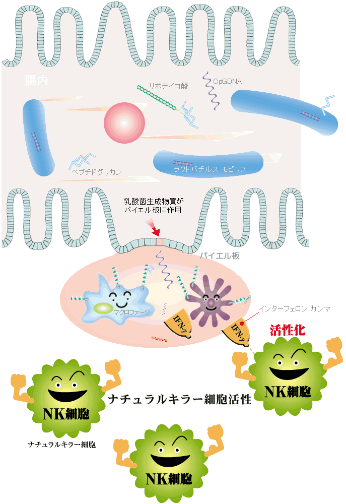 cyounai-zu2.gif (84242 �o�C�g)