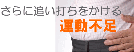 sarani-oiuchi-1.gif (30986 �o�C�g)