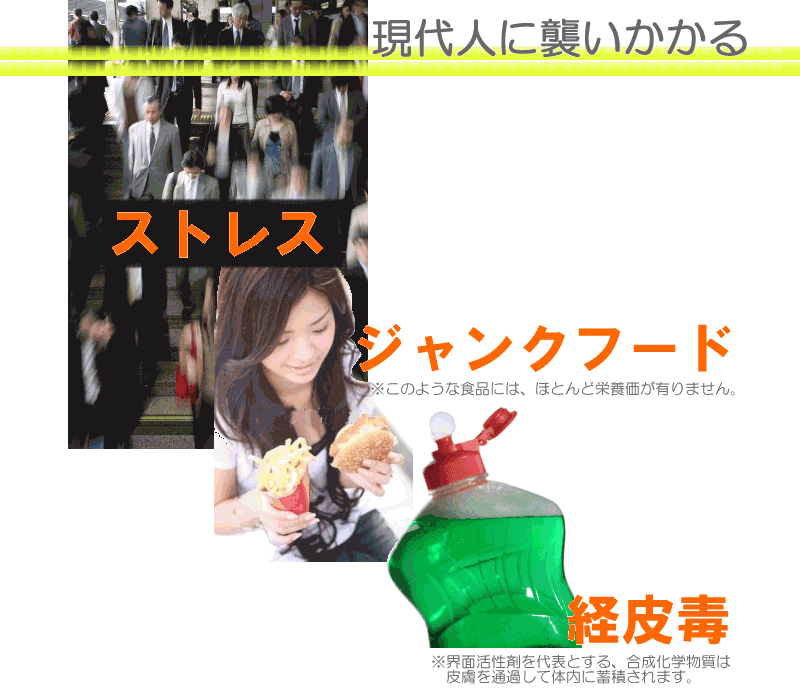 top-img.gif (94840 �o�C�g)