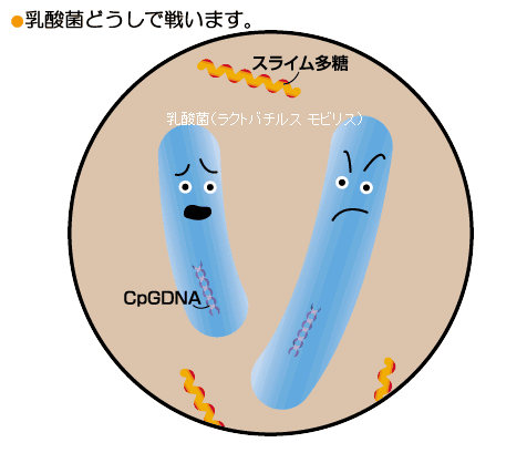 ani-war.gif (115813 バイト)