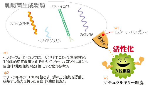 kantan-setsumei.gif (14805 �o�C�g)