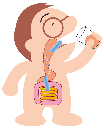 kin-nomu.gif (10510 バイト)